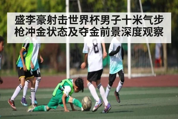 盛李豪射击世界杯男子十米气步枪冲金状态及夺金前景深度观察