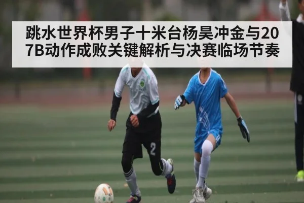 跳水世界杯男子十米台杨昊冲金与207B动作成败关键解析与决赛临场节奏