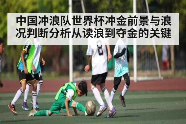中国冲浪队世界杯冲金前景与浪况判断分析从读浪到夺金的关键