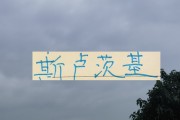 乐鱼下载安装-2026赛季！申花“司机”还会三线全力以赴吗